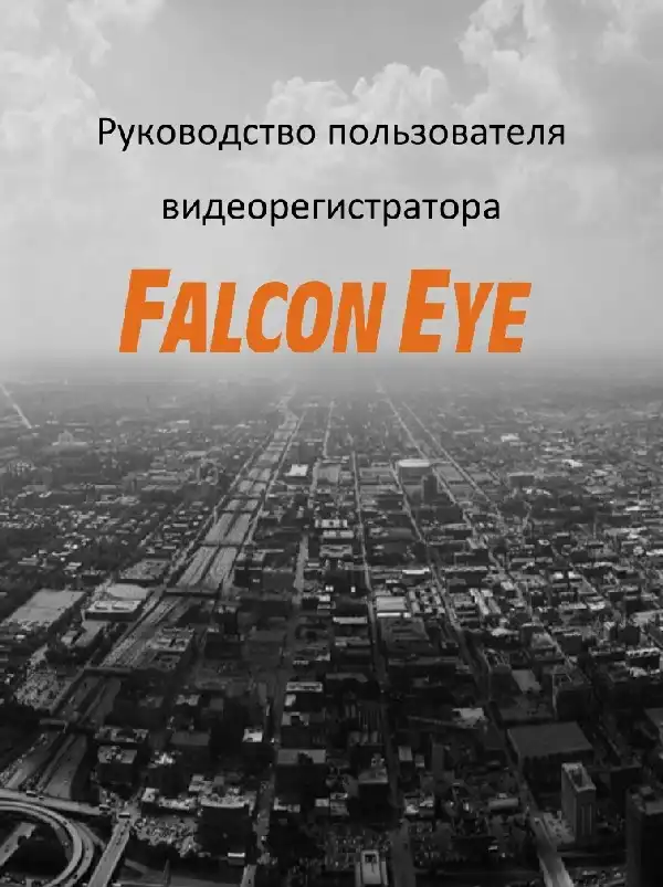 Відеореєстратор Falcon Eye FE-008. Інструкція з експлуатації