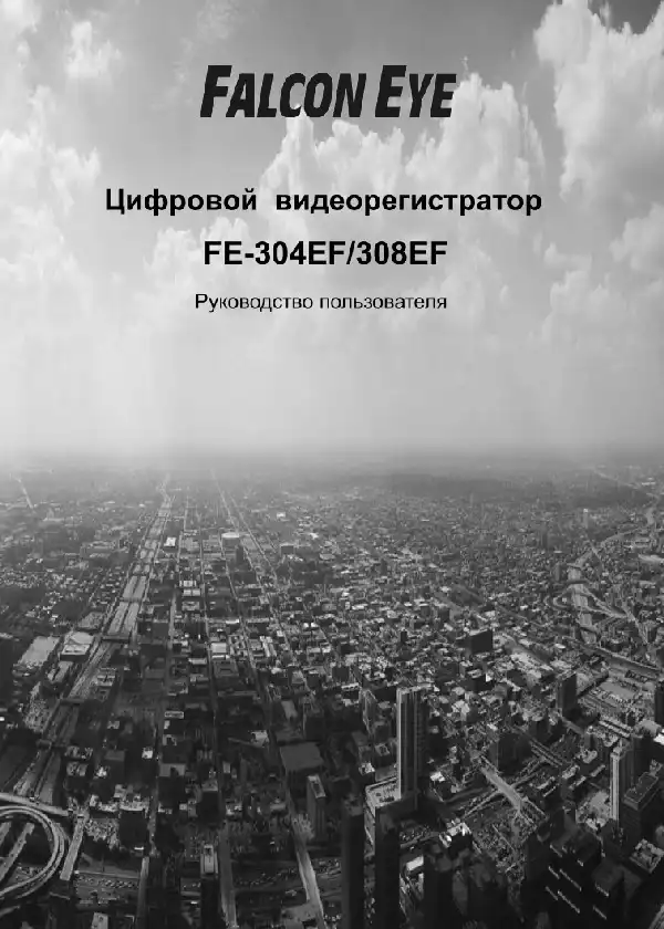 Відеореєстратор Falcon Eye FE-304EF. Інструкція з експлуатації