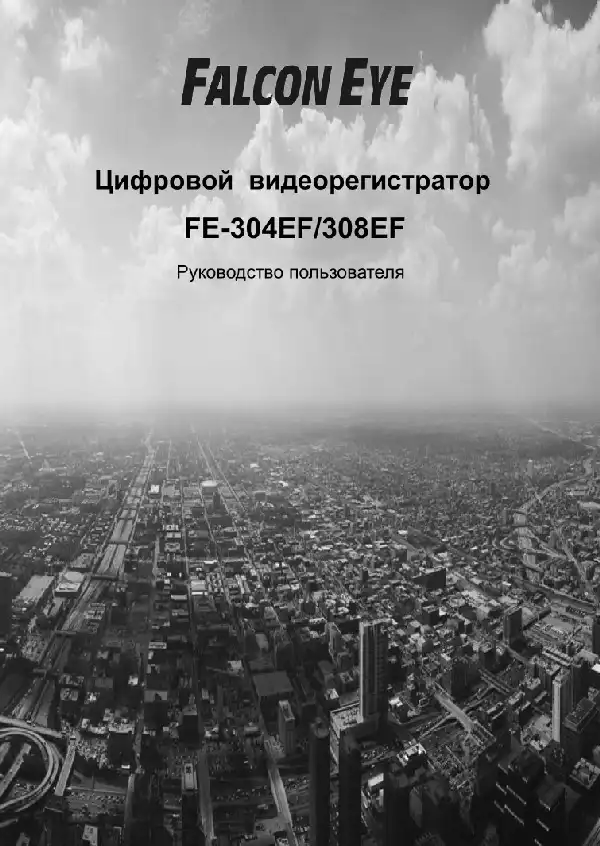 Відеореєстратор Falcon Eye FE-308EF. Інструкція з експлуатації