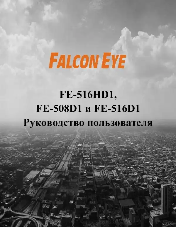 Відеореєстратор Falcon Eye FE-516HD1. Інструкція з експлуатації
