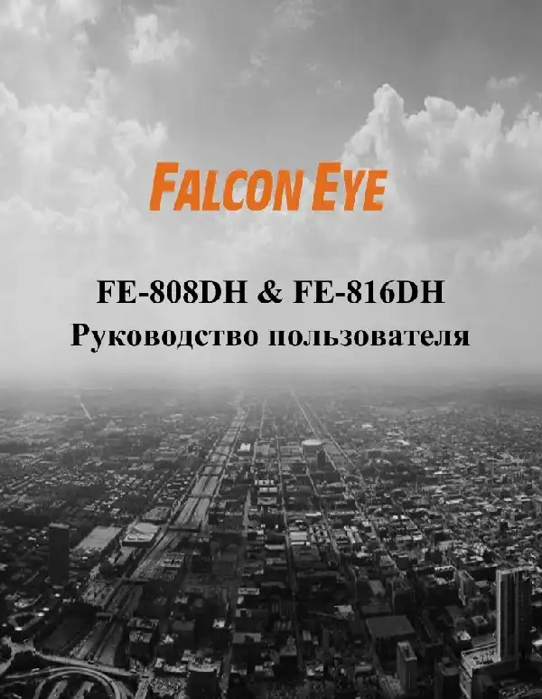 Відеореєстратор Falcon Eye FE-808DH. Інструкція з експлуатації