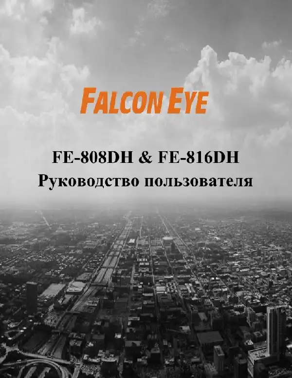 Відеореєстратор Falcon Eye FE-816DH. Інструкція з експлуатації