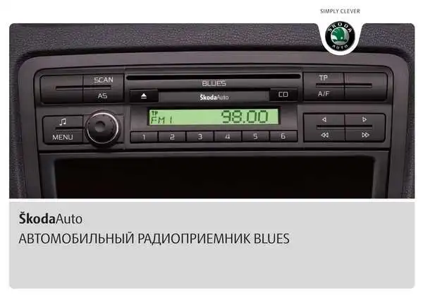 Skoda Yeti 2010 року. Керівництво з експлуатації Audiосистеми Blues