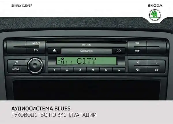 Skoda Yeti 2011 року. Керівництво з експлуатації Audiосистеми Blues