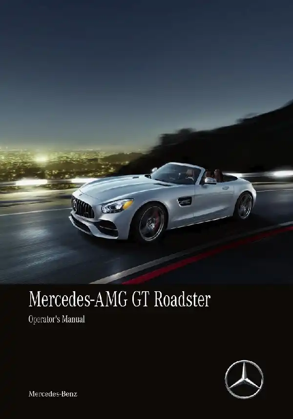 Mercedes-бенз AMG GT 2019 MY. Owner&#39;s Manual