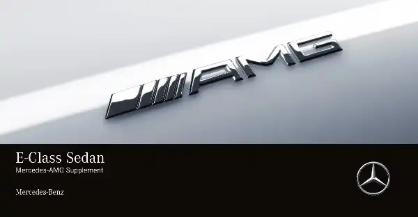 Mercedes-бенз E-Class Sedan AMG 2020 MY. Owner&#39;s Manual