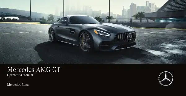 Mercedes-бенз S-Class AMG GT 2020 MY. Owner&#39;s Manual