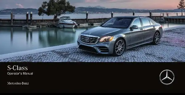 Mercedes-Benz S-Class Sedan 2019 MY. Owner&#39;s Manual