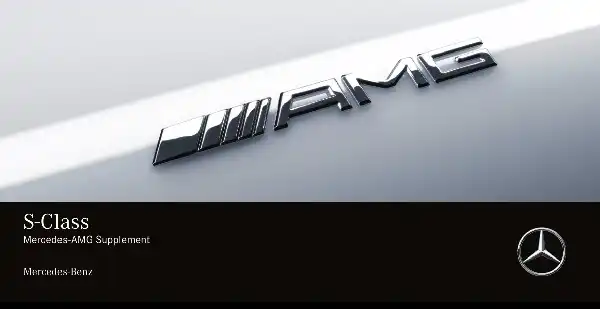 Mercedes-Benz S-Class Sedan AMG 2019 MY. Owner&#39;s Manual