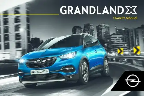 Opel Grandland X 2018 MY. Owner&#39;s Manual