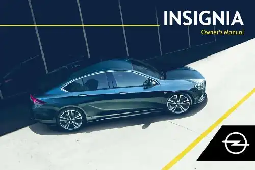 Opel Insignia 2020 MY. Owner&#39;s Manual
